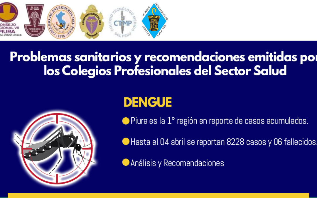 Problemas sanitarios y recomendaciones emitidas por los Colegios Profesionales de Sector Salud